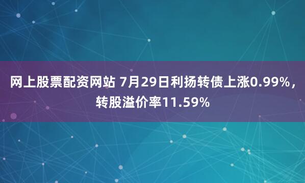 网上股票配资网站 7月29日利扬转债上涨0.99%，转股溢价率11.59%